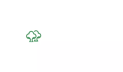Stiftung Münch Einrichtung Frauenstein 